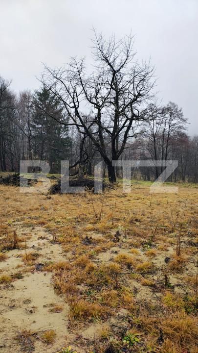 Teren de vânzare Zarnesti - 163376TV | BLITZ Brașov | Poza6