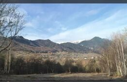 Teren intravilan zona deosebita in Zarnesti 