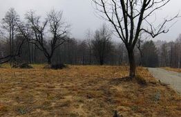 Teren intravilan zona deosebita in Zarnesti 