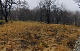 Teren intravilan zona deosebita in Zarnesti 