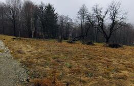 Teren intravilan zona deosebita in Zarnesti 