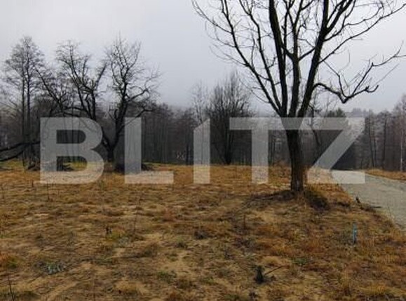 Teren de vânzare Zarnesti - 163383TV | BLITZ Brașov | Poza7