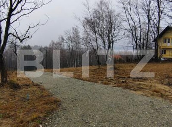 Teren de vânzare Zarnesti - 163383TV | BLITZ Brașov | Poza8