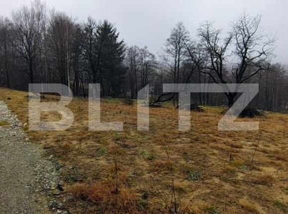 Teren de vânzare Zarnesti - 163383TV | BLITZ Brașov | Poza6