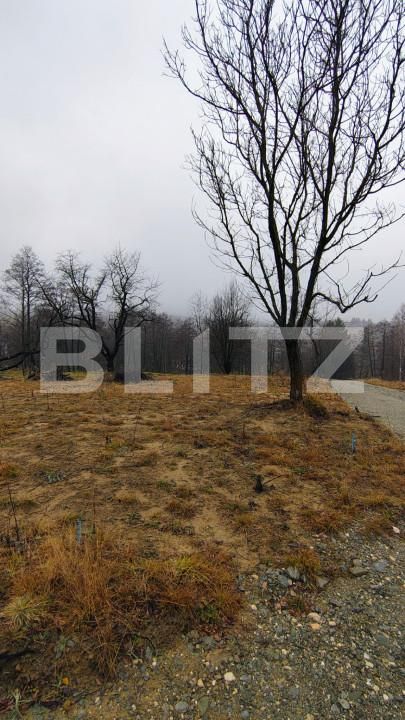 Teren de vânzare Zarnesti - 163383TV | BLITZ Brașov | Poza7