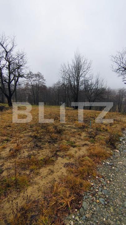 Teren de vânzare Zarnesti - 163383TV | BLITZ Brașov | Poza5