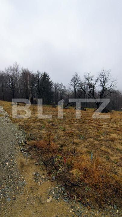 Teren de vânzare Zarnesti - 163383TV | BLITZ Brașov | Poza6