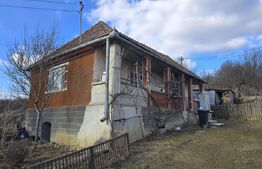 Casă cu farmec rustic, teren de 4887 mp