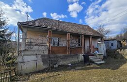 Casă cu farmec rustic, teren de 4887 mp