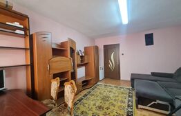 Apartament cu o camera, 28 de mp, zona Manastur - Bucegi 