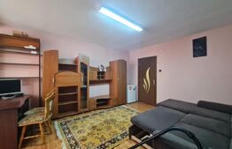 Apartament cu o camera, 28 de mp, zona Manastur - Bucegi 