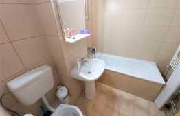 Apartament cu 3 camere, 65 mp, mobilat modern, recent renovat, zona strazii Aurel Vlaicu