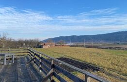 Casa cu 5 camere, 1000 mp teren, locuibila sau pentru investitie