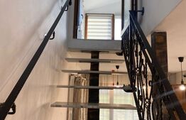 Casa cu 5 camere, 1000 mp teren, locuibila sau pentru investitie