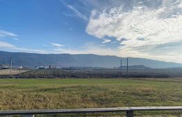 Casa cu 5 camere, 1000 mp teren, locuibila sau pentru investitie