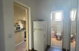 1 camera, 33 mp, parcare,  balcon, A.C., zona UMF