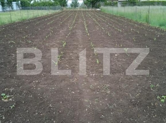 Casa de vânzare 2 camere Floreşti - 163583CV | BLITZ Cluj-Napoca | Poza2