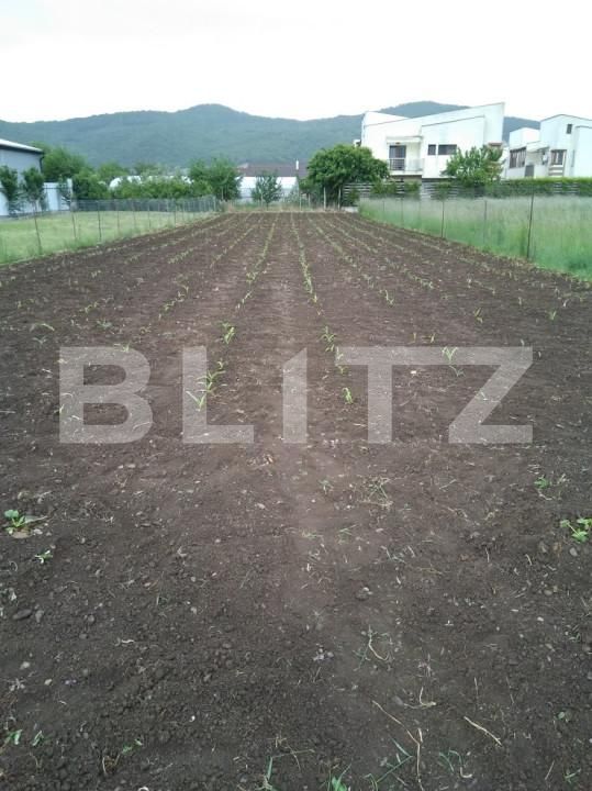 Casa de vânzare 2 camere Floreşti - 163583CV | BLITZ Cluj-Napoca | Poza2