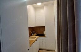 Apartament cu 2 camere, 45 mp, mobilat si utilat modern, zona Someseni
