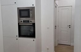 Apartament cu 2 camere, 45 mp, mobilat si utilat modern, zona Someseni
