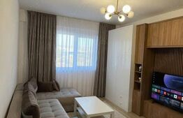 Apartament cu 2 camere, 45 mp, mobilat si utilat modern, zona Someseni