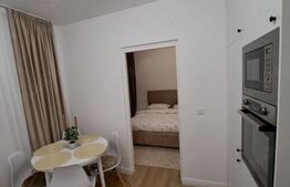 Apartament cu 2 camere, 45 mp, mobilat si utilat modern, zona Someseni