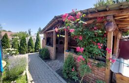 Vanzare casa impunatoare in Sacele – Confort, spatiu si tradiție 