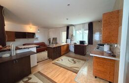 Casa individuala, 546 mp, 8 camere, 2 garaje, 905 mp teren, Feleacu