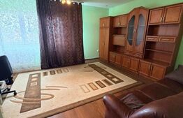 Casa individuala, 546 mp, 8 camere, 2 garaje, 905 mp teren, Feleacu