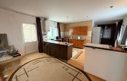 Casa individuala, 546 mp, 8 camere, 2 garaje, 905 mp teren, Feleacu