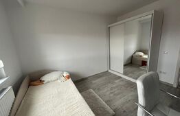 Apartament cu 3 camere, 66 mp, complet renovat, 2 bai, zona Titulescu