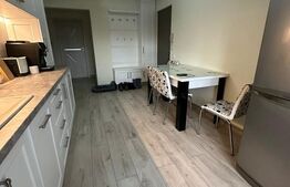 Apartament cu 3 camere, 66 mp, complet renovat, 2 bai, zona Titulescu