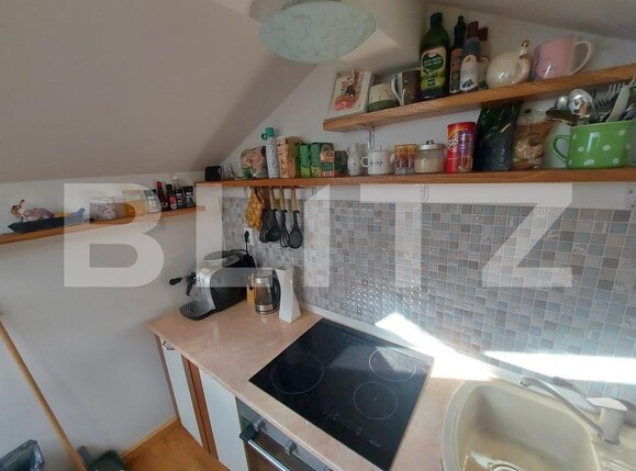 Apartament de vânzare 4+ camere Central - 163852AV | BLITZ Cluj-Napoca | Poza3