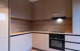 Casa ultrafinisata 87 mp, gradina 90 mp, terasa 40 mp, zona Avram Iancu