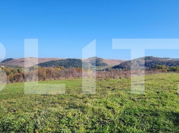 Teren de vânzare Gilău - 163970TV | BLITZ Cluj-Napoca | Poza1