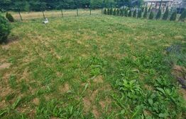 Casa individuala, 4 camere incalzire in pardoseala, 450 mp de teren, Luna de Sus