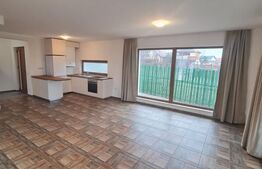 Casa individuala, 4 camere incalzire in pardoseala, 450 mp de teren, Luna de Sus