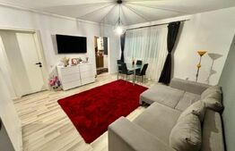 Apartament de lux, 1 camera decomandata, zona Teilor!