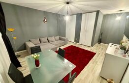 Apartament de lux, 1 camera decomandata, zona Teilor!