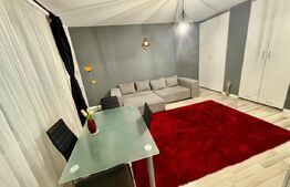 Apartament de lux, 1 camera decomandata, zona Teilor!