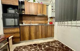 Apartament de lux, 1 camera decomandata, zona Teilor!