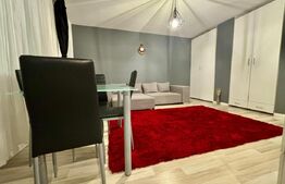 Apartament de lux, 1 camera decomandata, zona Teilor!