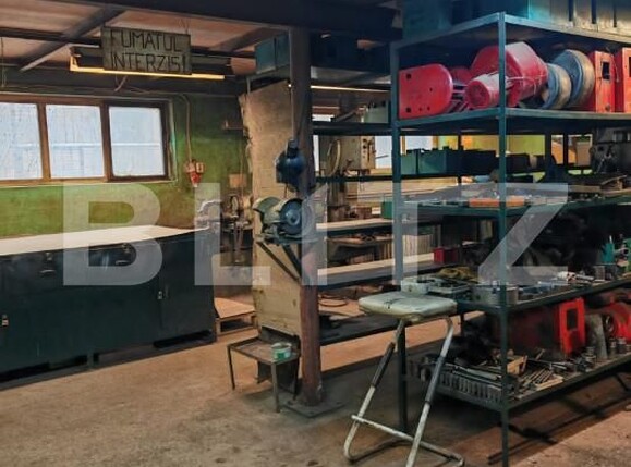 Spațiu industrial de vânzare Sacele - 164015SVI | BLITZ Brașov | Poza9