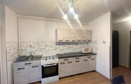 Apartament 2 camere, 48 mp, petfriendly, parcare, zona strazii Tineretului