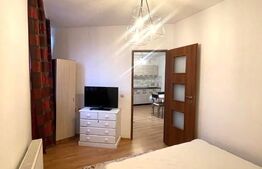 Apartament 2 camere, 48 mp, petfriendly, parcare, zona strazii Tineretului