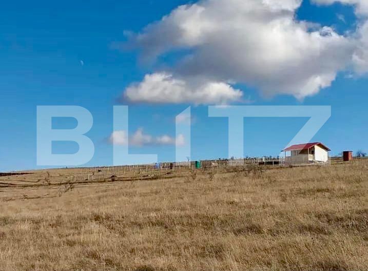 Teren de vânzare Chinteni - 164036TV | BLITZ Cluj-Napoca | Poza4