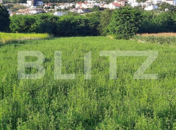 Teren de vânzare Borhanci - 164046TV | BLITZ Cluj-Napoca | Poza2