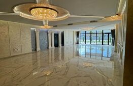 Spațiu comercial de închiriat Someseni - 145048SIC | BLITZ Cluj-Napoca | Poza3