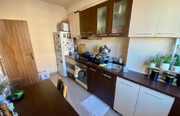 Apartament 2 camere, 50 mp, parcare subterana, pet friendly, zona Fsega