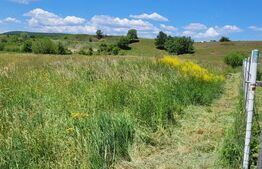 Oportunitate investitie-teren intravilan Harman/Podu Oltului